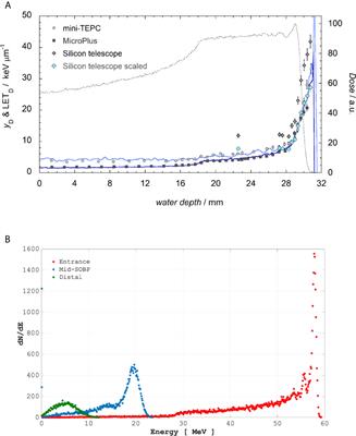 The Proton-Boron Reaction Increases the Radiobiological Effectiveness of Clinical Low- and High-Energy Proton Beams: Novel Experimental Evidence and Perspectives